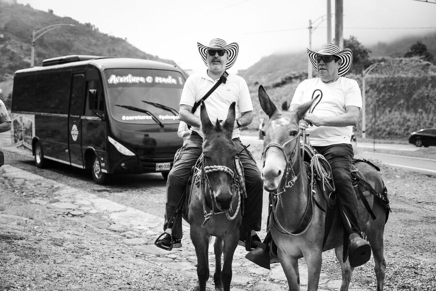 Medellin: Coffee Tour, Horseback Arrival, and Sugar Cane - A typical lunch with a wide view