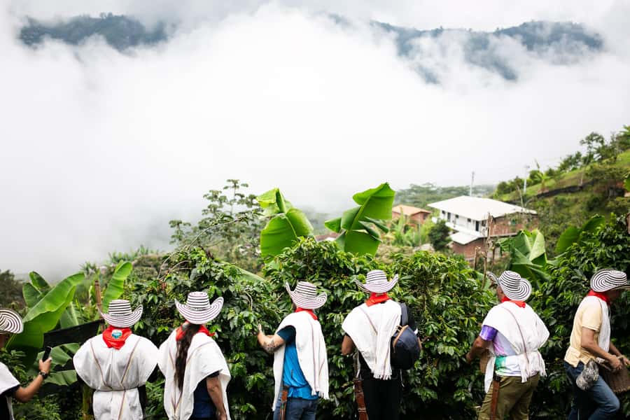Medellin: Coffee Tour, Horseback Arrival, and Sugar Cane - What the $76 price buys you