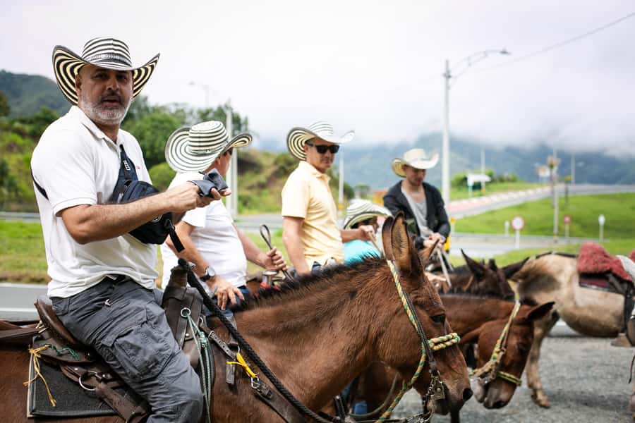 Medellin: Coffee Tour, Horseback Arrival, and Sugar Cane - The short ride to the coffee farm