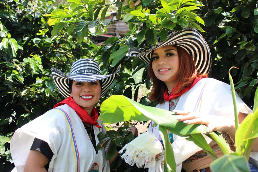 Medellin: Coffee Tour with Hotel Transfers and Meals - From Medellín to Finca La Arrinconada