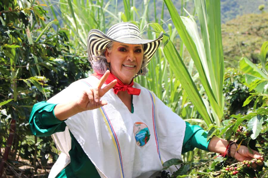 Medellin: Coffee Tour with Hotel Transfers and Meals - My recommendation