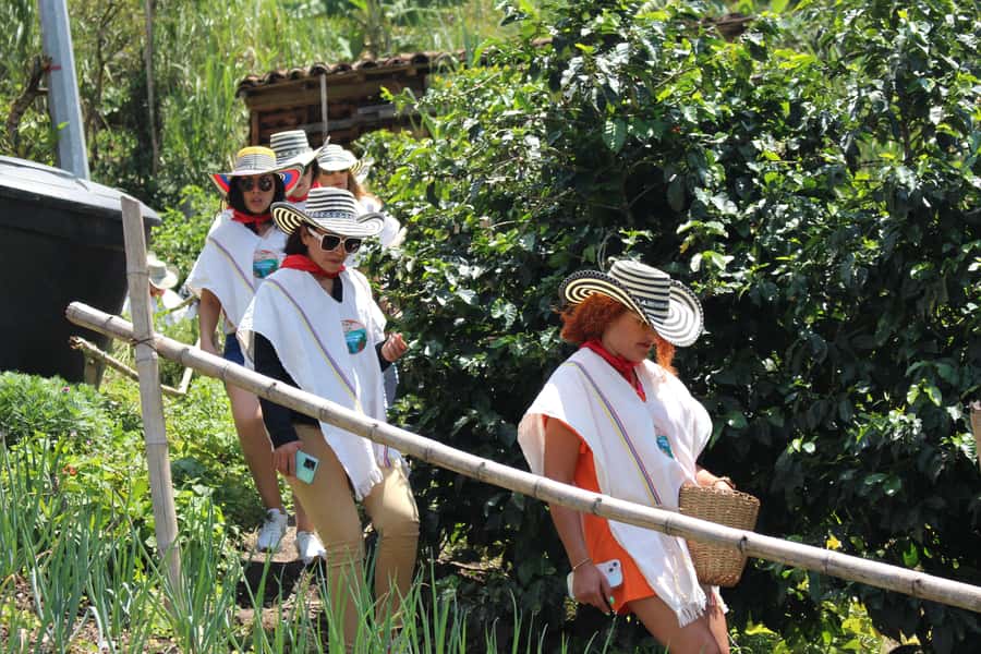 Medellin: Coffee Tour with Hotel Transfers and Meals - Meeting a working Colombian coffee farm