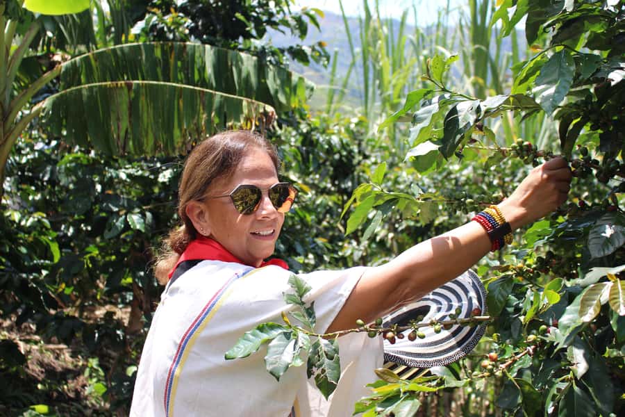 Medellin: Coffee Tour with Hotel Transfers and Meals - Coffee tasting with more than one brewing method