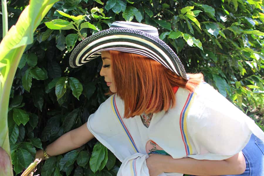 Medellin: Coffee Tour with Hotel Transfers and Meals - Fiambre paisa on the Casagrande balcony