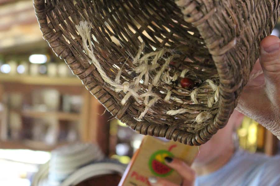 Medellin: Coffee Tour with Hotel Transfers and Meals - The optional horseback ride
