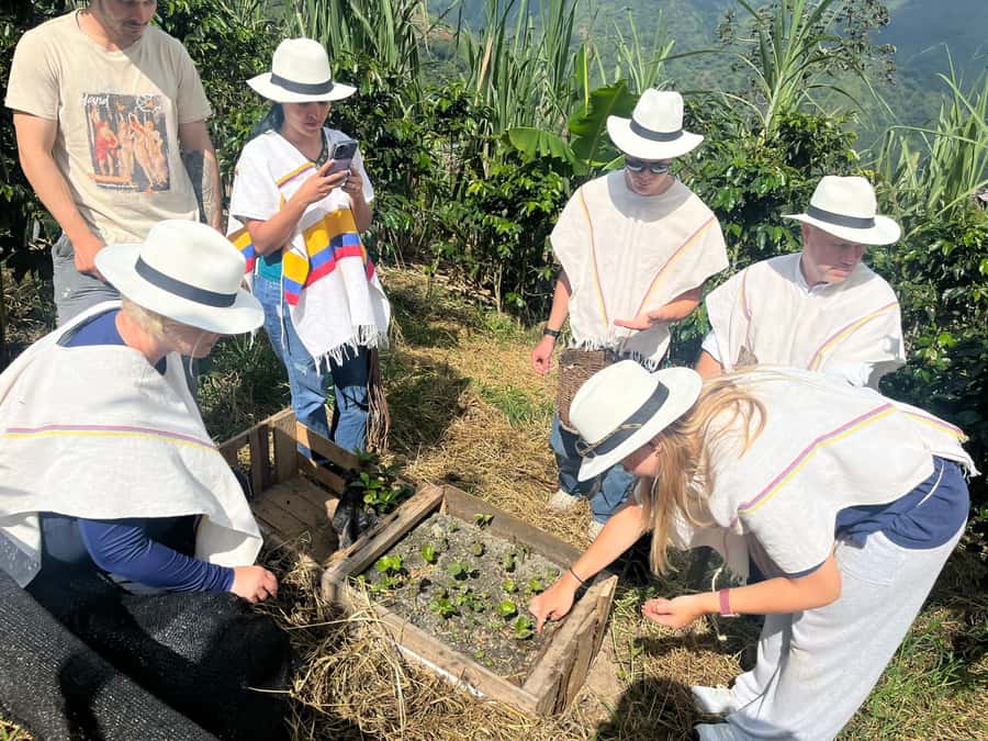 Medellin: Coffee Tour with Hotel Transfers and Meals - Picking beans and following the coffee process
