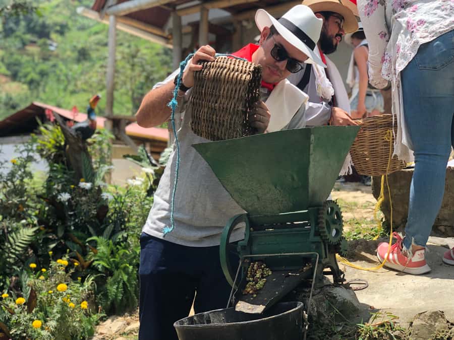 Medellin: Coffee Tour with Transport, Snacks and Tastings - How the day is paced