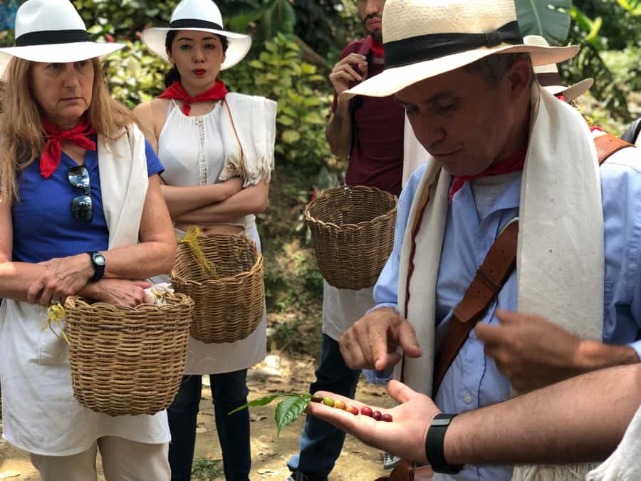 Medellin: Coffee Tour with Transport, Snacks and Tastings - Plantain, panela, cheese, and a full Paisa lunch