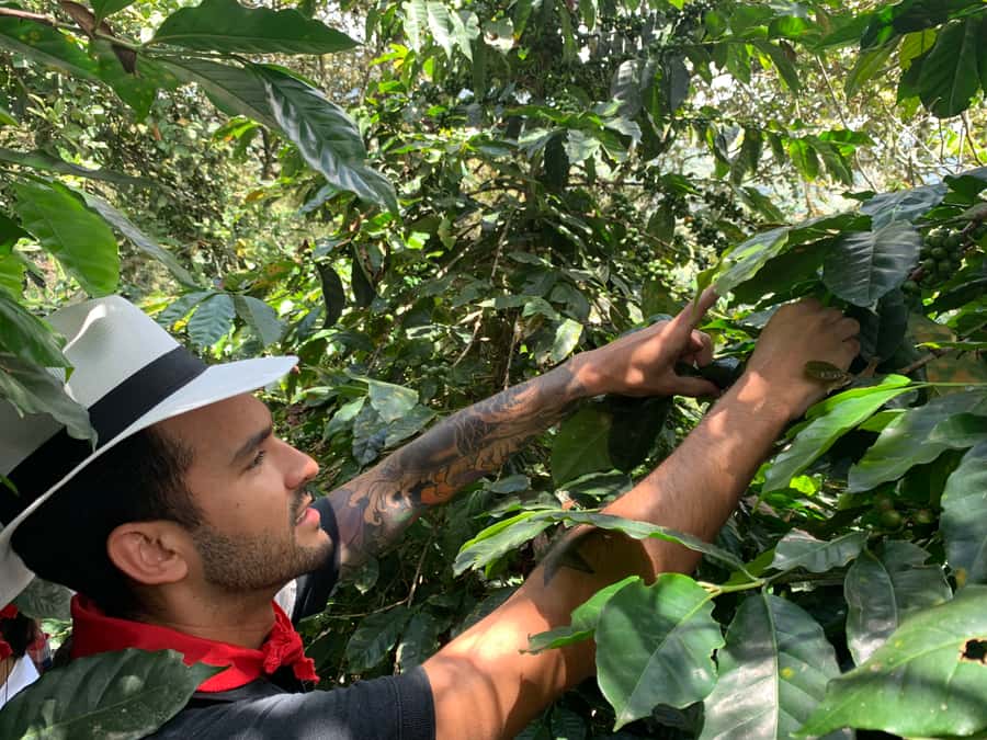 Medellin: Coffee Tour with Transport, Snacks and Tastings - Views, photos, and the uphill farm walk