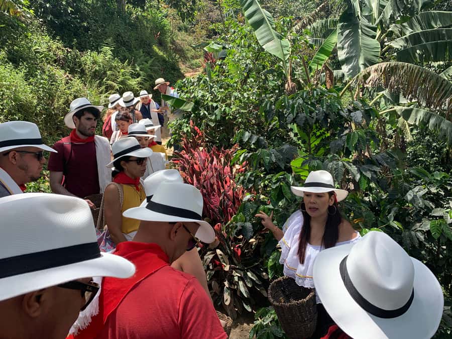 Medellin: Coffee Tour with Transport, Snacks and Tastings - The optional 45-minute horseback ride