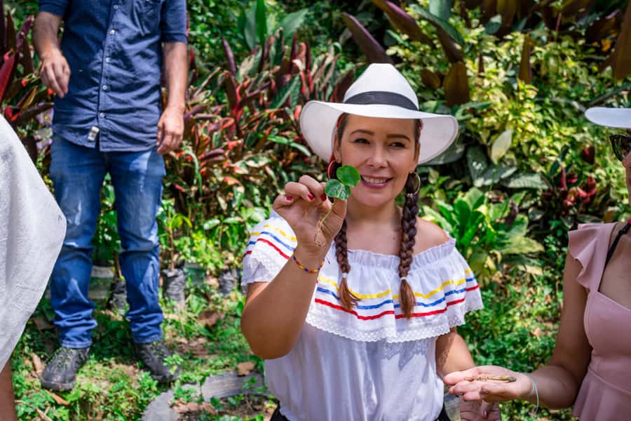 Coffee Tour with Transport, Snacks and Tastings