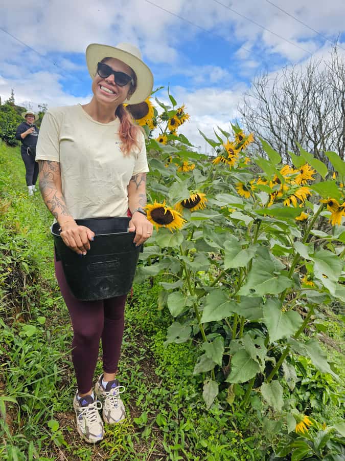 Medellin: Guatape, El Peñol Coffee Farm Private Tour & Fruit - Who should book this tour?