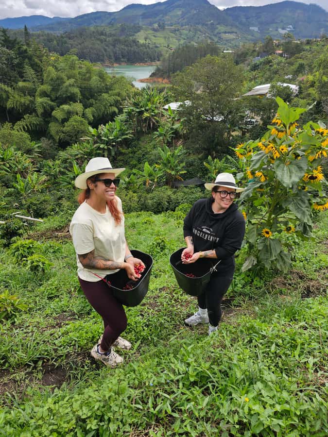 Medellin: Guatape, El Peñol Coffee Farm Private Tour & Fruit - Is $169 good value?