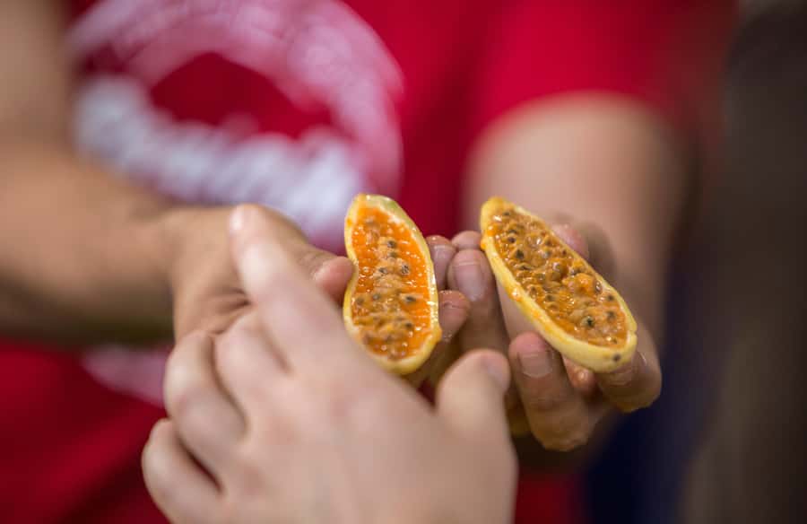 Medellín: Guided Exotic Fruits Tour - Smart tips before you go