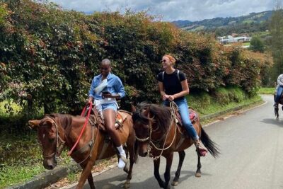 Horseback Riding Adventure In Nature (Don’t Overpay)