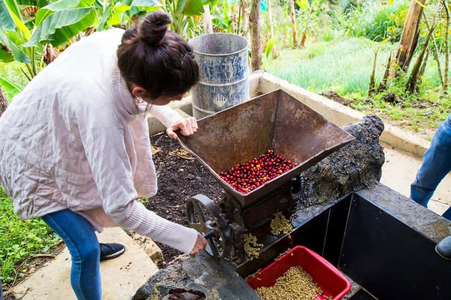 Medellin: Horseback Riding Coffee Farm Tour with Coffee Spa - Coffee steam, cold water, and a full-body massage