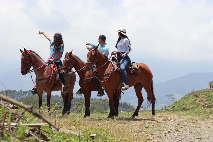 Medellin: Horseback Riding in the Medellin Mountains - Should you book the mountain ride?