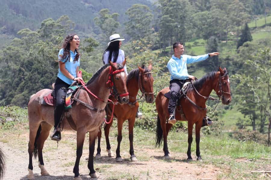 Medellin: Horseback Riding in the Medellin Mountains - Rural stops, snacks, and a taste of local hospitality
