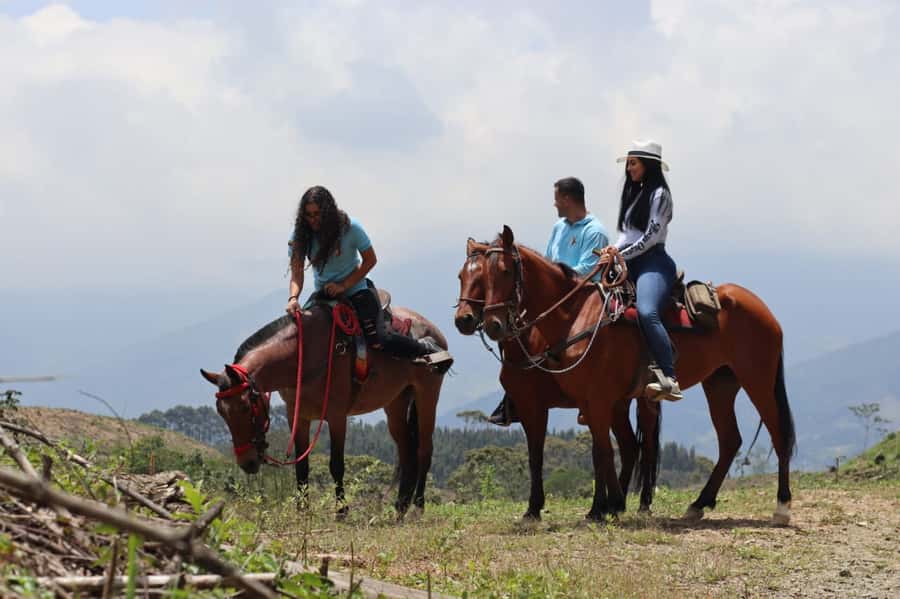 Medellin: Horseback Riding in the Medellin Mountains - What the $70 price covers