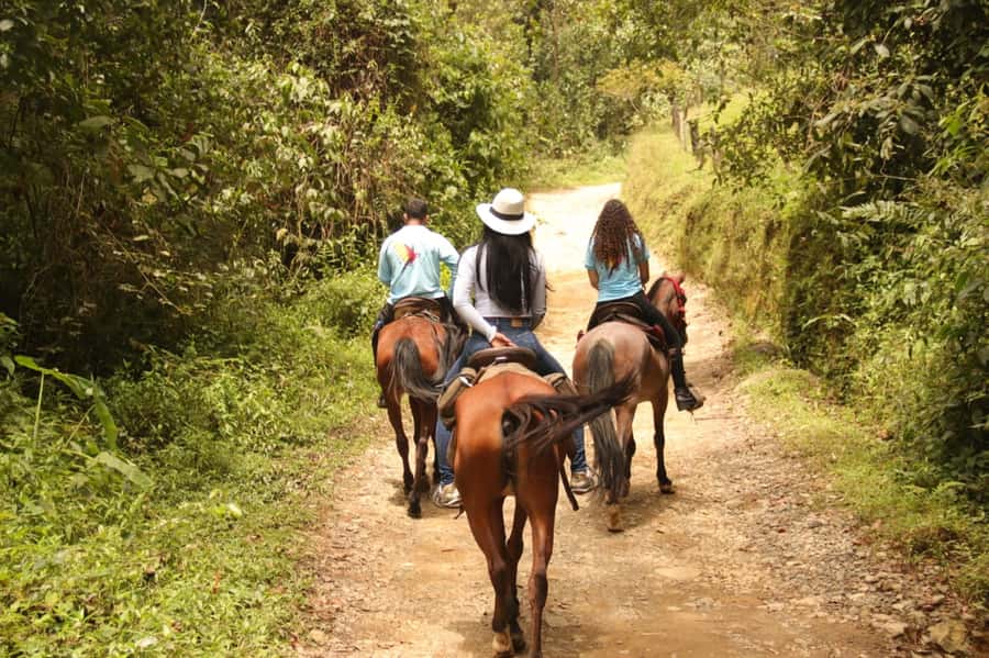 Medellin: Horseback Riding in the Medellin Mountains - Who will enjoy this, and who should think twice