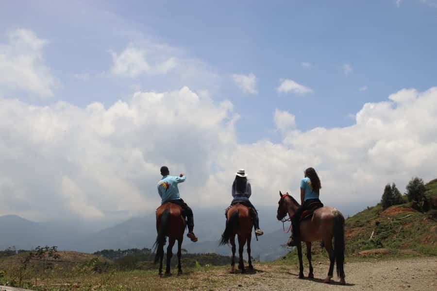 Medellin: Horseback Riding in the Medellin Mountains - Calm horses and a route with real hills