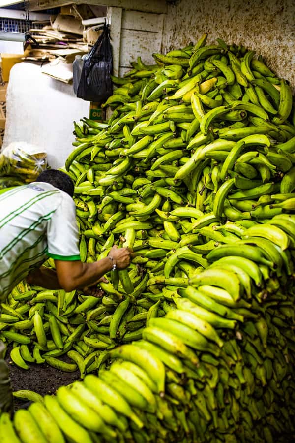 Medellín Multi-sensory Tour in the market, +15 Exotic Fruits - Practical booking advice for a smoother morning