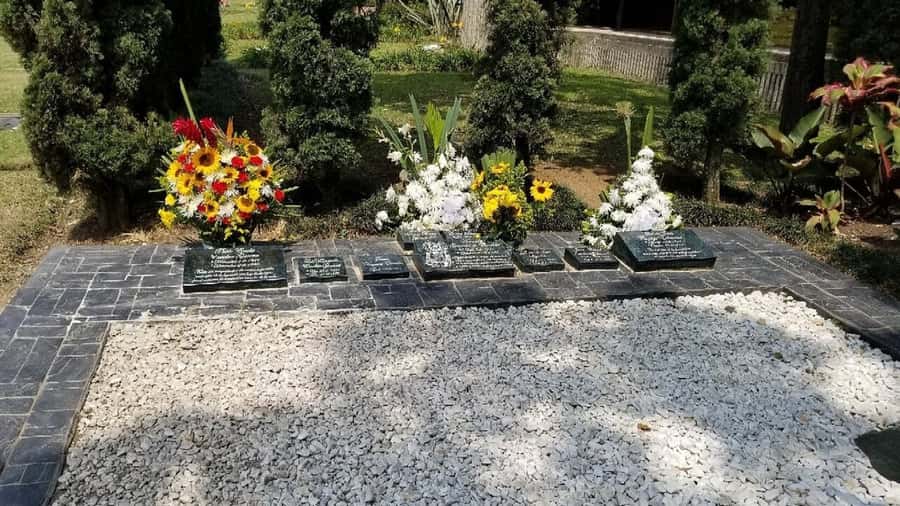 Medellín: Private Pablo Escobar and Comuna 13 Tour - Who will get the most from this experience