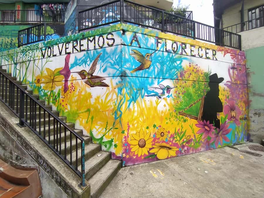 Medellín: Private Pablo Escobar and Comuna 13 Tour - Hotel pickup, private transport, and the five-hour rhythm