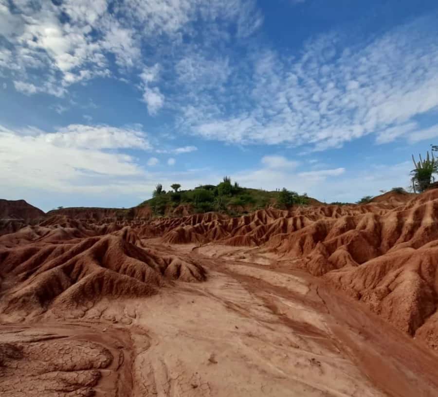 Neiva: Guided Day Trip to the Tatacoa Desert with Lunch - Tatacoa Desert Day Trip: Key Points
