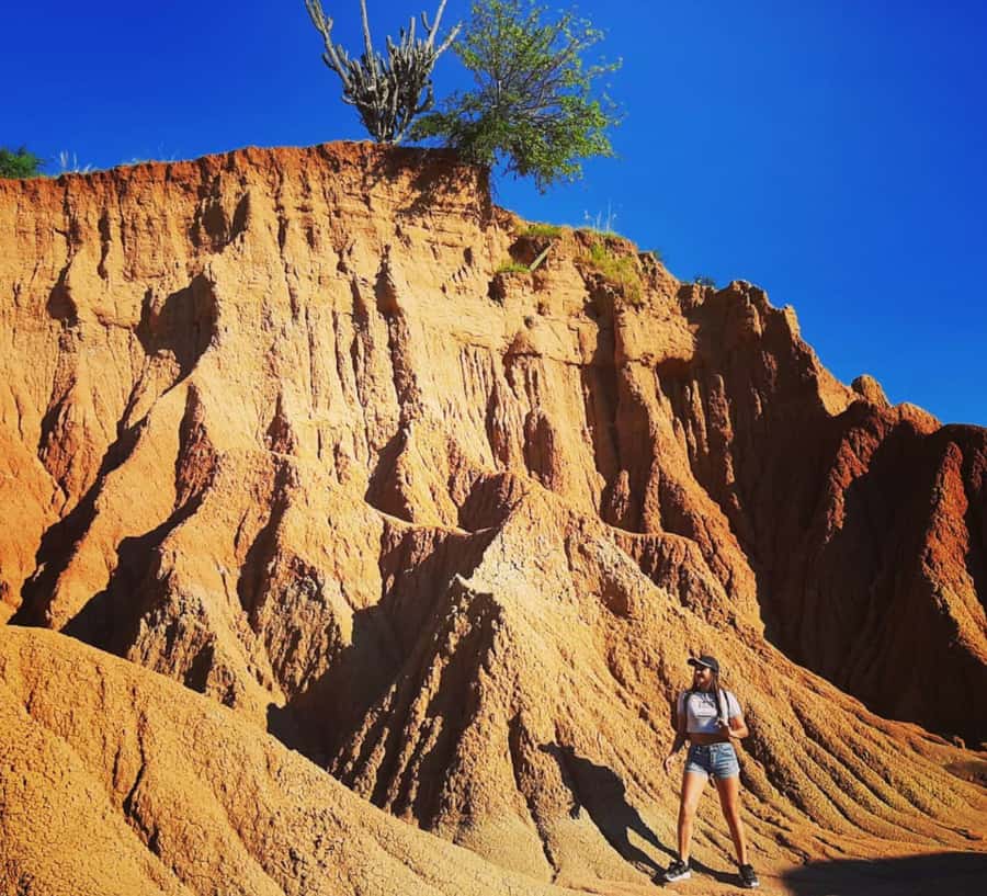 Neiva: Guided Day Trip to the Tatacoa Desert with Lunch - From Neiva to Villavieja by Morning