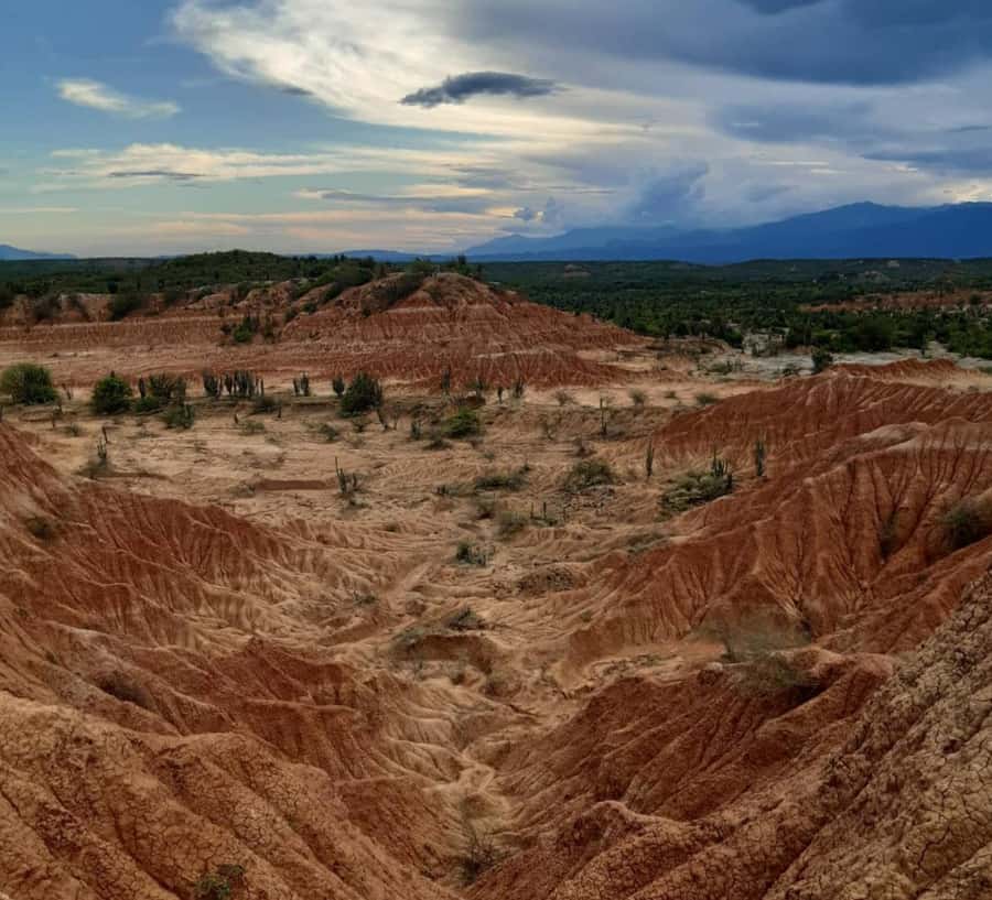 Neiva: Guided Day Trip to the Tatacoa Desert with Lunch - Walking the Red Desert Around Cuzco