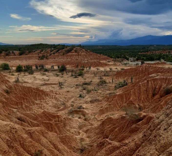 Neiva: Guided Day Trip to the Tatacoa Desert with Lunch - What the $129 Price Covers