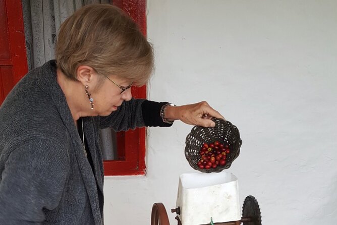 Private coffee tour near Medellín, from bean to cup. - Who Will Enjoy This Coffee Tour Most