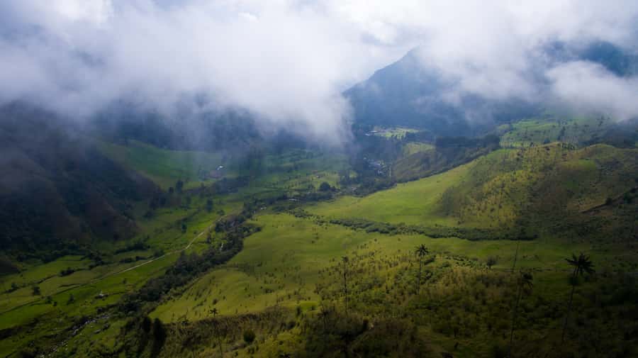 Salento/Pereira: Cocora Valley & Salento Hiking Private Tour - Why Cocora Valley is worth the climb