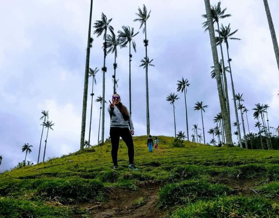 Salento/Pereira: Cocora Valley & Salento Hiking Private Tour - Walking beneath Colombia’s national tree