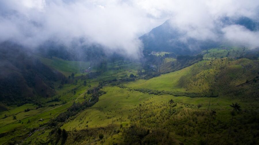 Salento/Pereira: Cocora Valley & Salento Hiking Private Tour - Viewpoints, mist, and the best photo stops