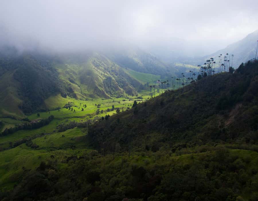 Salento/Pereira: Cocora Valley & Salento Hiking Private Tour - Meeting local people in the valley