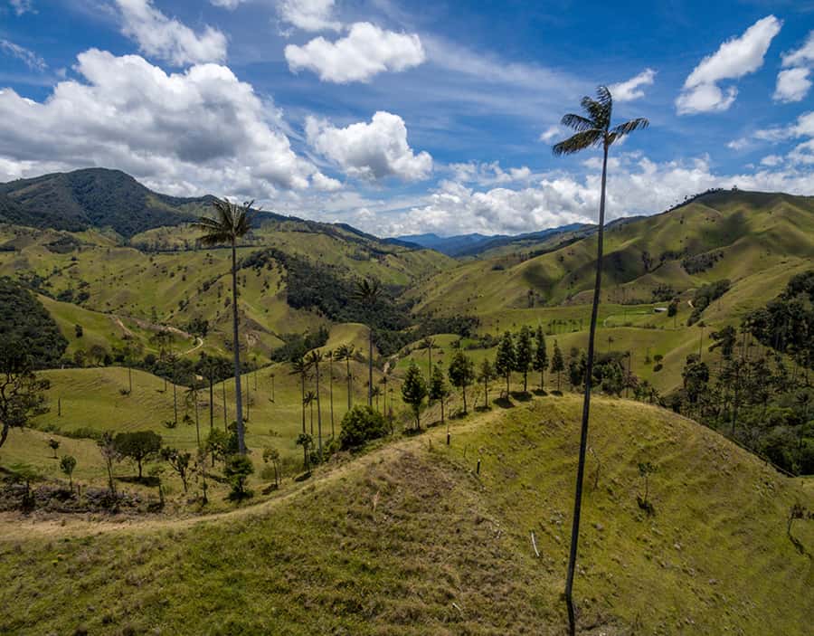 Salento/Pereira: Cocora Valley & Salento Hiking Private Tour - The six-hour plan, from pickup to Salento