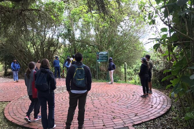 Salt Cathedral of Zipaquirá Tours: Multiple Options Available - My verdict on the Salt Cathedral tour