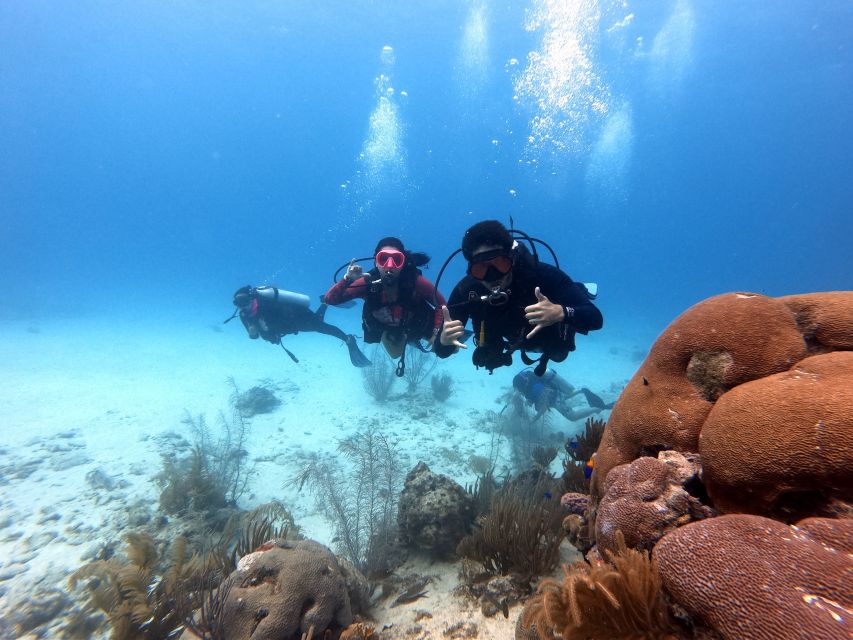 San Andres: Scuba Diving Experience with Hotel Pickup - Should you book the Big Mamá experience?
