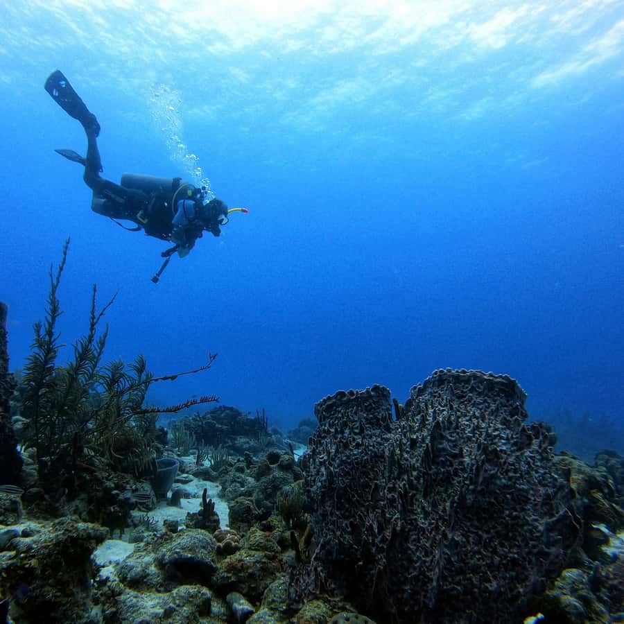 San Andres: Scuba Diving Experience with Hotel Pickup - Getting started with pickup around San Andrés