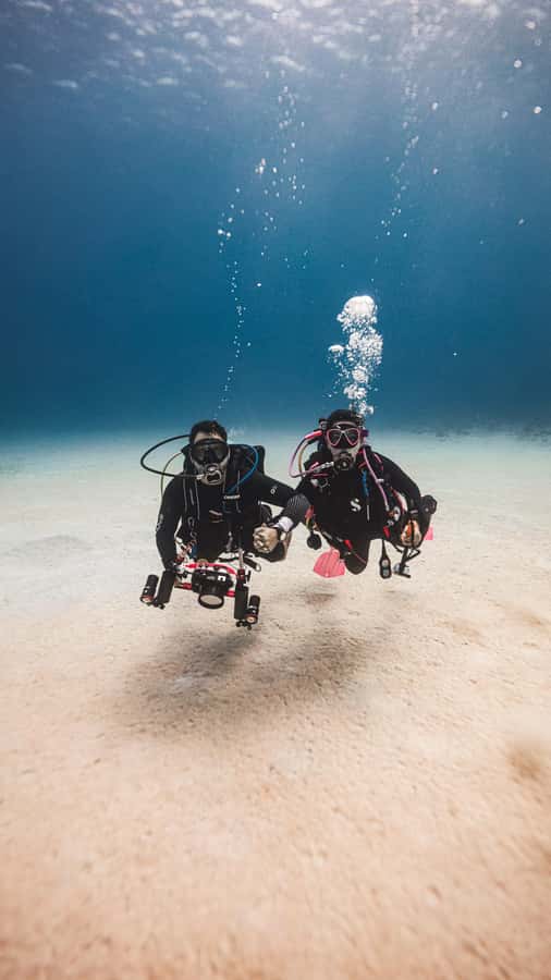 San Andres: Scuba Diving Experience with Hotel Pickup - How the $50 price compares with the experience