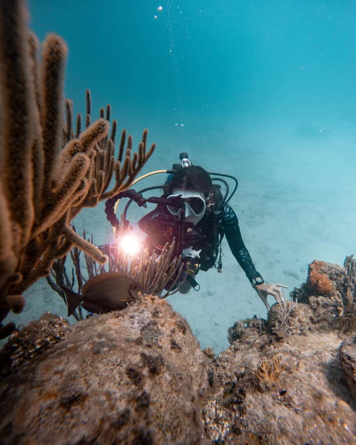 San Andres: Scuba Diving Experience with Hotel Pickup - Who will enjoy this San Andrés outing