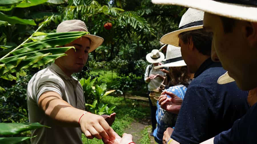 Santa Marta: Minca Coffee, Cocoa, & Waterfall Full-Day Trip - Key points to know before booking