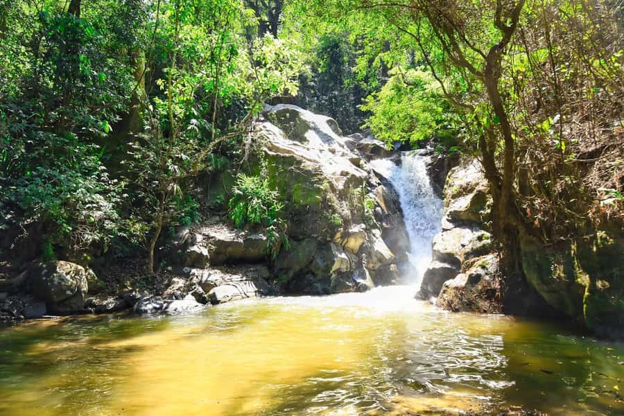 Santa Marta: Minca Coffee, Cocoa, & Waterfall Full-Day Trip - Coffee at a small plantation