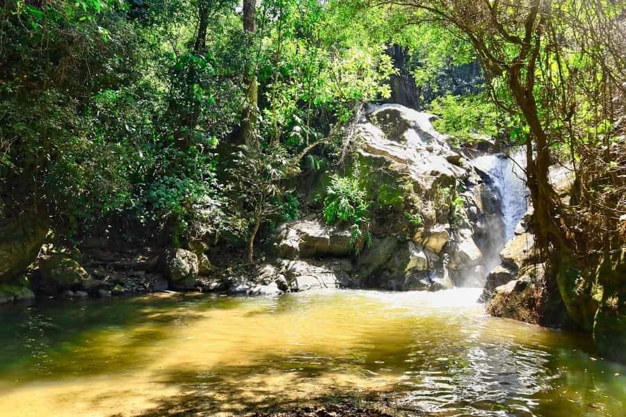 Santa Marta: Minca Coffee, Cocoa, & Waterfall Full-Day Trip - Lunch above Minca