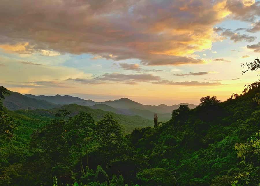 Santa Marta: Minca Coffee, Cocoa, & Waterfall Full-Day Trip - Learning cocoa by making chocolate
