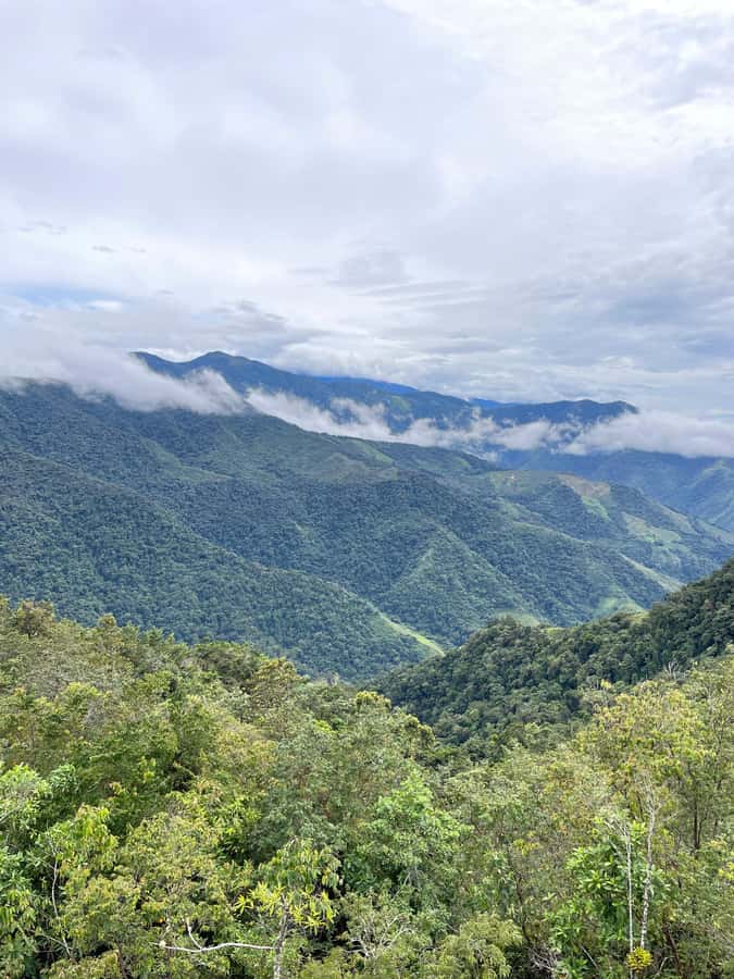 Santa Marta: Minca Coffee, Cocoa, & Waterfall Full-Day Trip - Walking, timing, and the full nine-hour day
