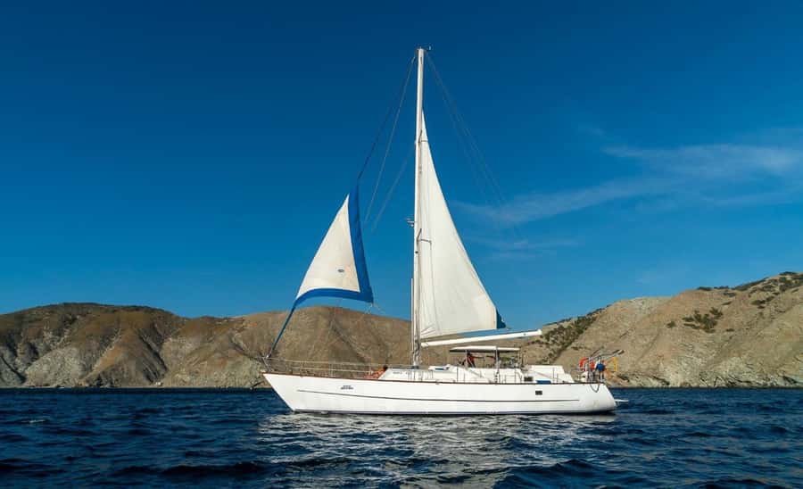 Santa Marta: Sailing Tour to Tayrona Park with Luis' Team - Bahia Concha and the choice of how to relax