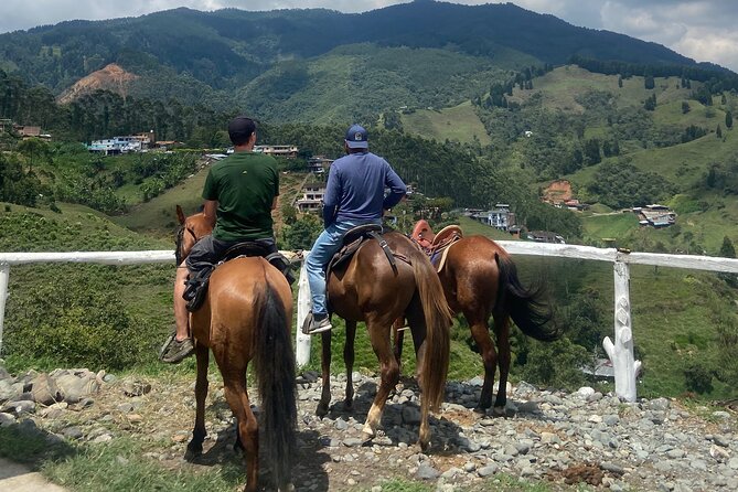 Scenic Horseback Riding in the Medellín Mountains - What a four-hour outing really feels like